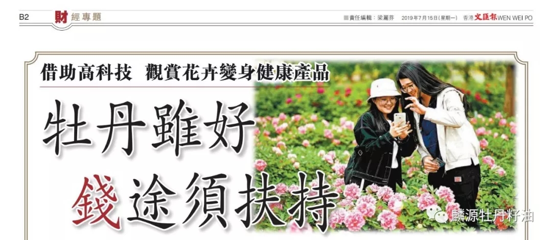 香港文匯報特別報道——王連崗:要做就做到最好
