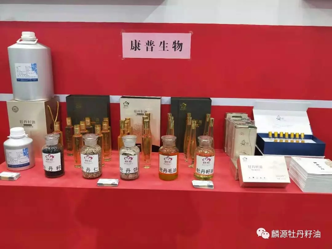 綠色夢想，全新啟航！麟源牡丹康普生物參展第十六屆中國林產品交易會