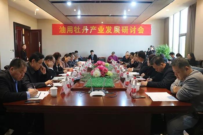 麟源牡丹康普生物總經(jīng)理王連崗參加共建共贏共享、油用牡丹產(chǎn)業(yè)發(fā)展研討會(huì)